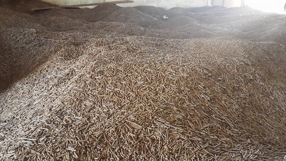 Vien nen go wood pellet gia si